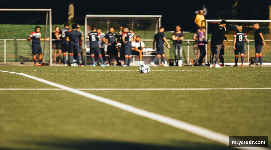 美嘉体育平台球迷专属，用细节传递热爱🎯❤️